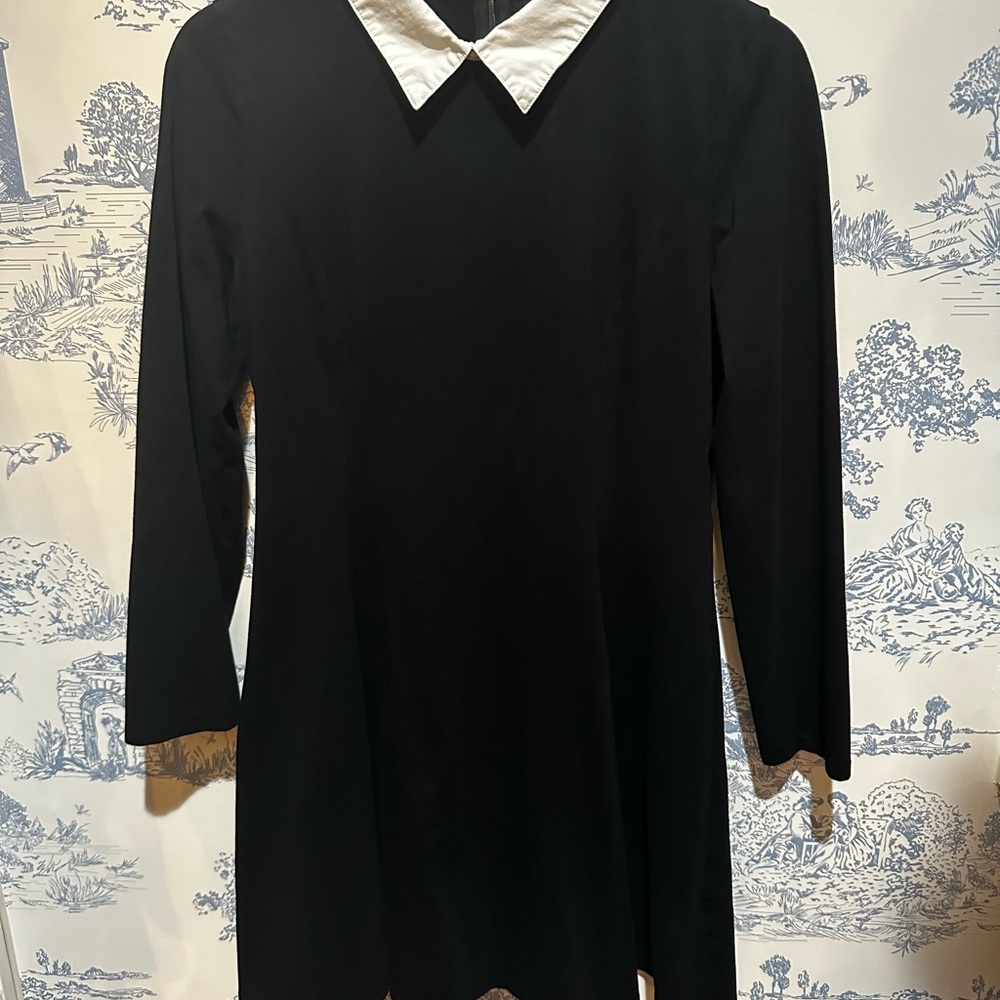Chic Long Sleeve Black Dress with White Collar